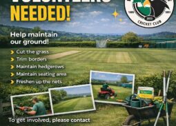 Ground volunteers needed
