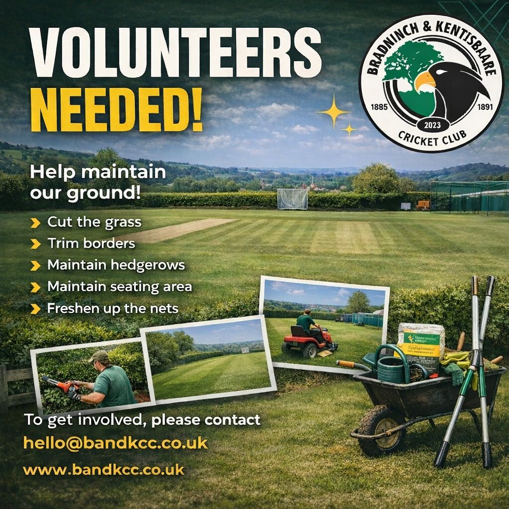 Ground volunteers needed